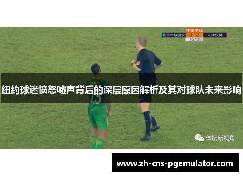纽约球迷愤怒嘘声背后的深层原因解析及其对球队未来影响