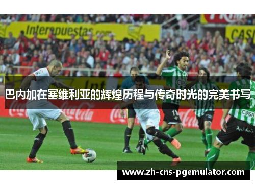 巴内加在塞维利亚的辉煌历程与传奇时光的完美书写
