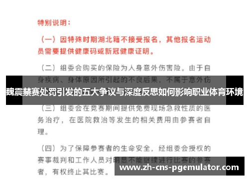 魏震禁赛处罚引发的五大争议与深度反思如何影响职业体育环境