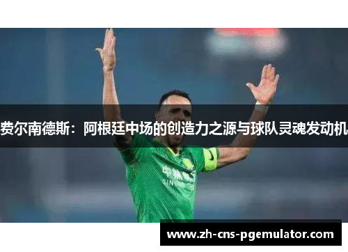 费尔南德斯：阿根廷中场的创造力之源与球队灵魂发动机