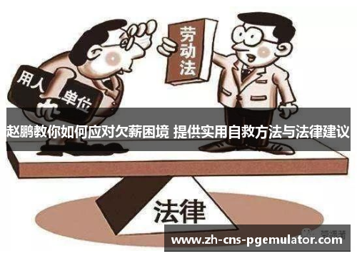 赵鹏教你如何应对欠薪困境 提供实用自救方法与法律建议