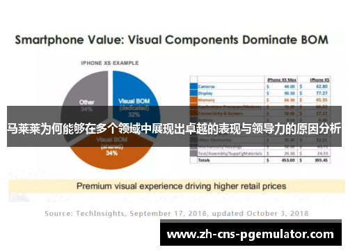 马莱莱为何能够在多个领域中展现出卓越的表现与领导力的原因分析