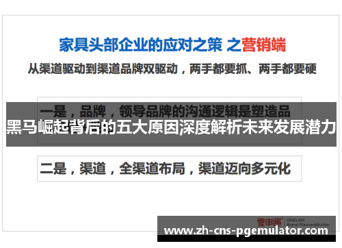 黑马崛起背后的五大原因深度解析未来发展潜力
