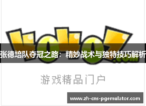 张德培队夺冠之路：精妙战术与独特技巧解析